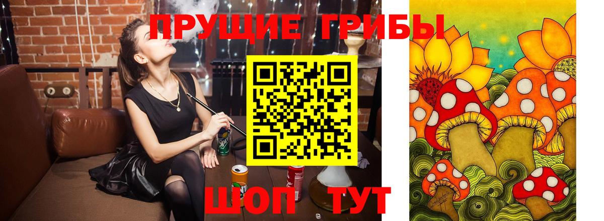 Псилоцибиновые грибы Psilocybe Балахна